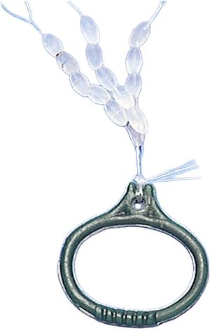 Product image thumb