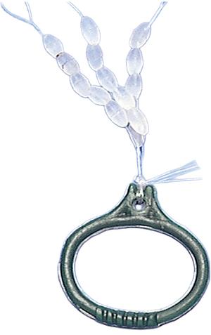 Product image thumb